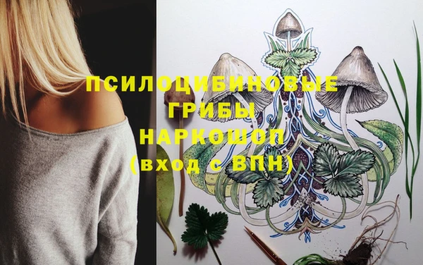 соль курить ск Инсар