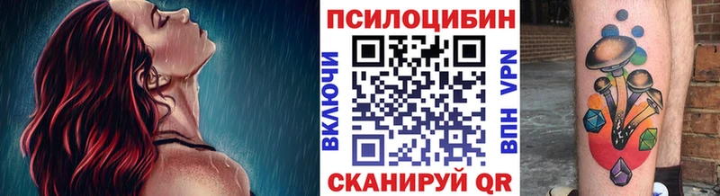 наркотики  Дербент  Псилоцибиновые грибы Cubensis 